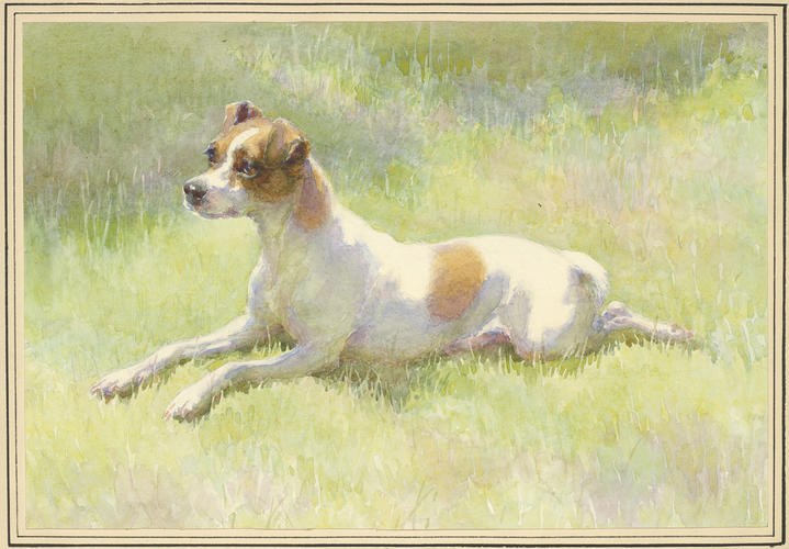 Spot, Queen Victoria's Short-haired terrier Spot, Queen Victoria's Short-haired terrier