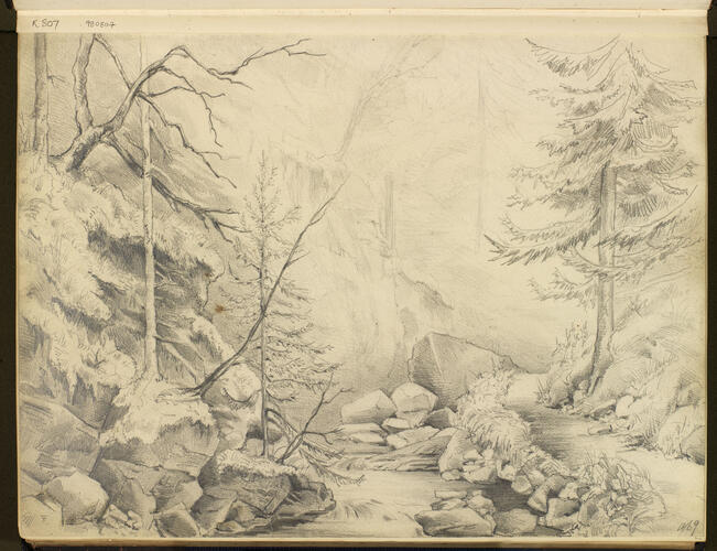 A stream in a wood