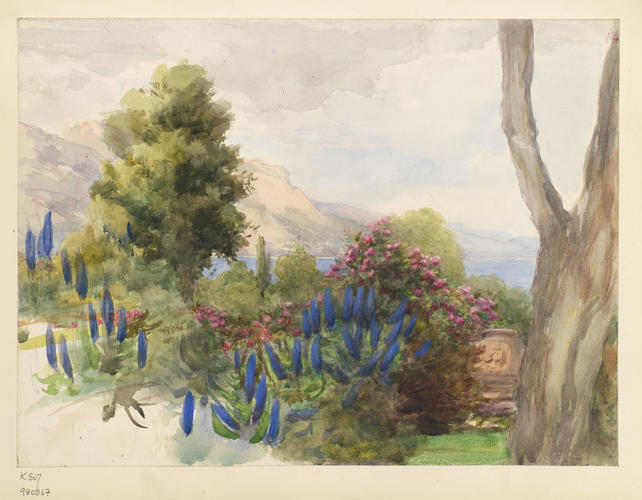 View of a garden