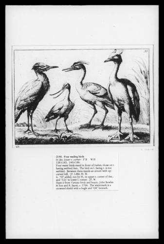 Four Wading Birds Four Wading Birds
