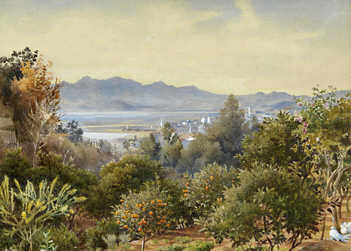 Cannes, with the Esterel Mountains in the distance