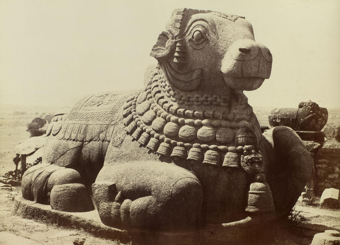 Colossal Bull at the French Rocks near Seringapatam Colossal Bull at the French Rocks near Seringapatam