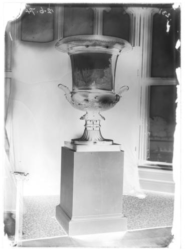 Glass plate negative of the St Petersburg Vase Glass plate negative of the St Petersburg Vase