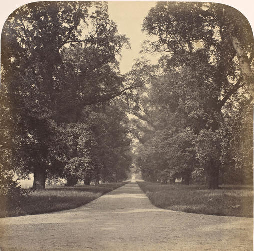 Avenue in the Slopes, Windsor Castle