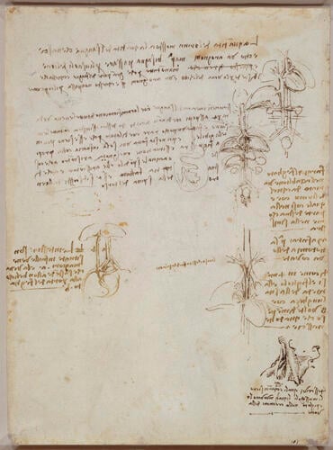 Recto: Studies of the internal organs and great vessels. Verso: A sketch of a tall, draped female figure, and other studies Recto: Studies of the internal organs and great vessels. Verso: A sketch of a tall, draped female figure, and other studies
