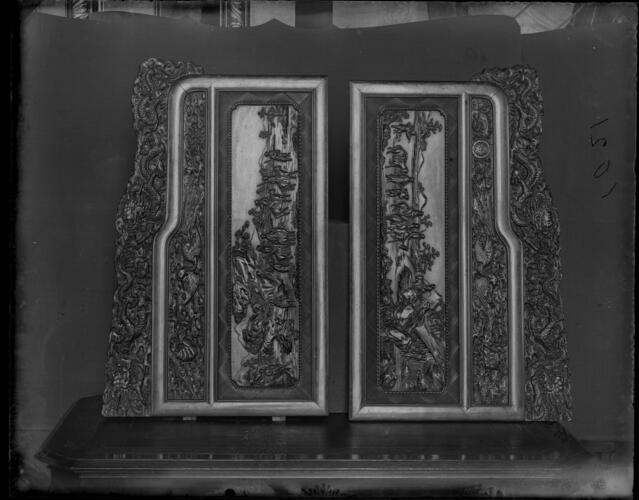 Glass plate negative Glass plate negative