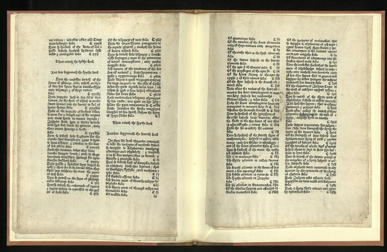 Confessio amantis [fragment] / John Gower