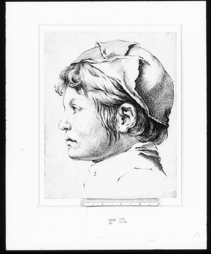 The head of a boy