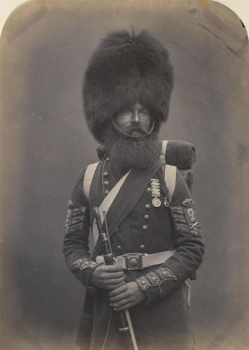 Colour Sergeant William McGregor Colour Sergeant William McGregor