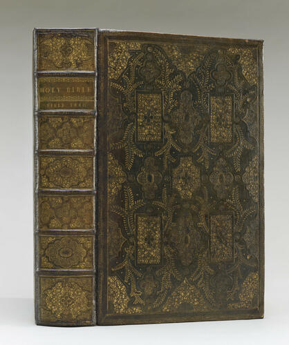 The Holy Bible : containing the bookes of the Old & New Testament