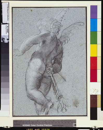 Cupid
