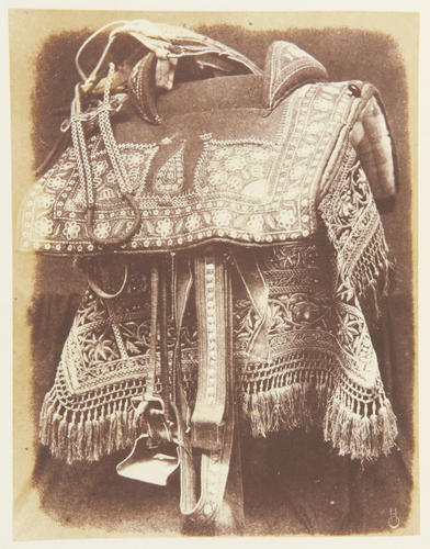 'Embroidered saddle' 'Embroidered saddle'