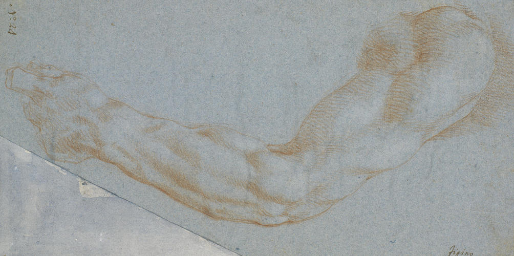 A left arm A left arm