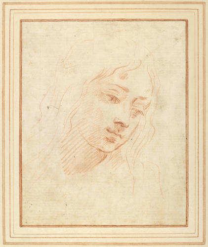 903341.jpg