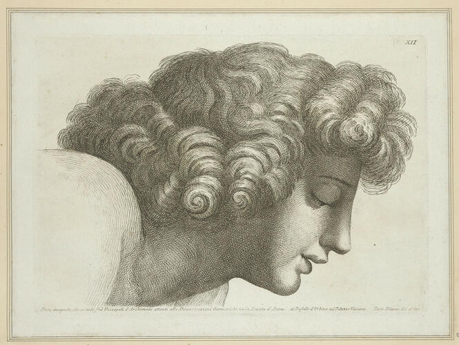 Master: Set of twenty-four heads from 'The School of Athens'
Item: Head of a youth [from 'The School of Athens']