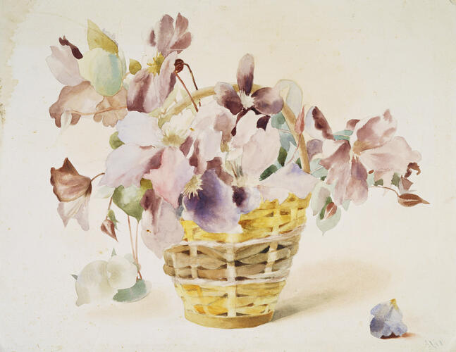 A basket of Clematis