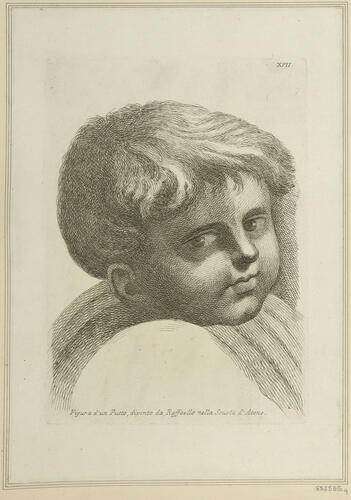 Master: Set of twenty-four heads from 'The School of Athens'
Item: Head of a child [from 'The School of Athens']