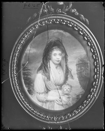 Glass plate negative of a portrait of Queen Charlotte Glass plate negative of a portrait of Queen Charlotte