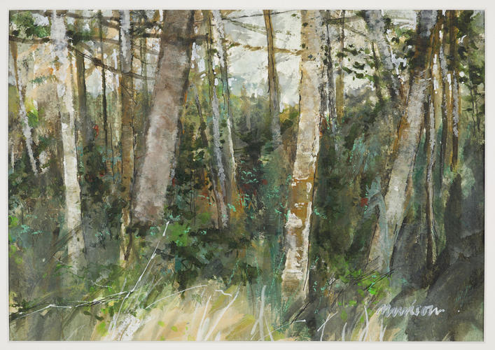 The Edge of the Wood The Edge of the Wood