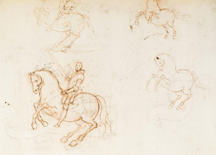 Studies of rearing horses Studies of rearing horses