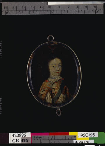 Portrait of an unknown Knight of the Garter