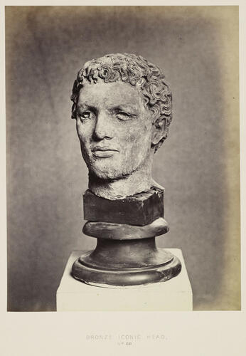 Iconic Head