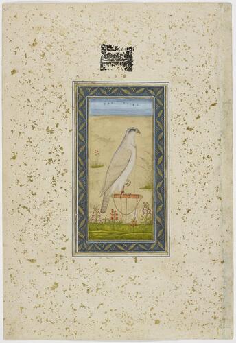 Master: Mughal album of portraits, animals and birds.
Item: Paintings of a falcon and Mughal ladies on a terrace