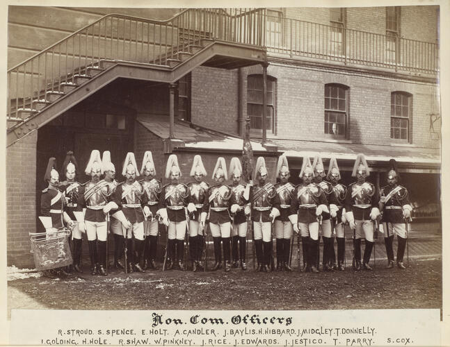 Non-Commissioned Officers from the Life Guards who served in the Anglo-Egyptian War