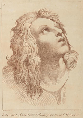 Master: A set of thirty-three prints reproducing heads from 'The School of Athens'
Item: Head of a youth [from 'The School of Athens']