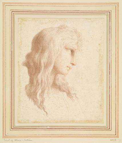 School of Athens: the head of a young man