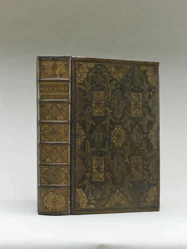 The Holy Bible : containing the bookes of the Old & New Testament