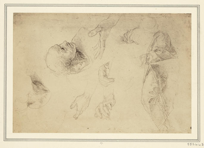 Studies of heads, hands and drapery for the left-hand group in the 'Disputa'