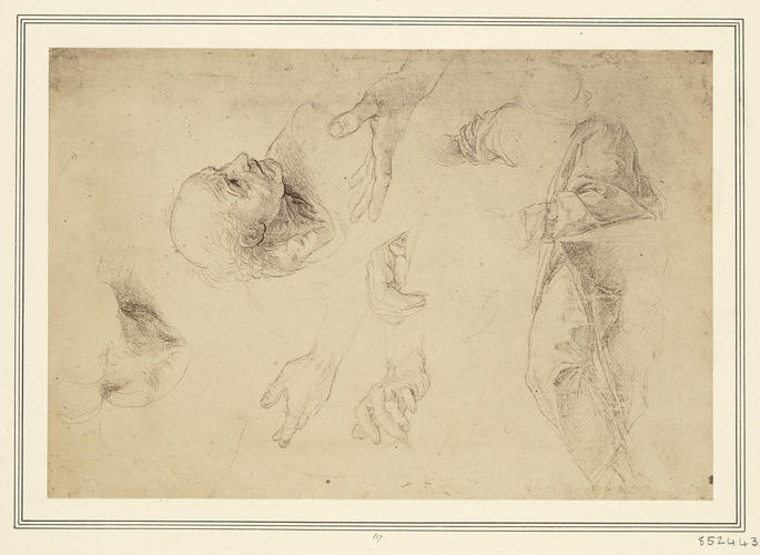 Studies of heads, hands and drapery for the left-hand group in the 'Disputa' Studies of heads, hands and drapery for the left-hand group in the 'Disputa'