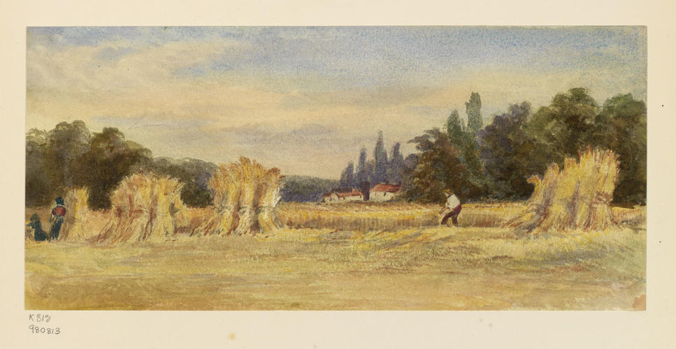 Harvesters in a Cornfield