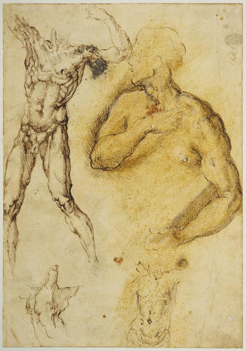 The Battle of Hercules and Theseus against the Amazons; verso, figure studies after Michelangelo The Battle of Hercules and Theseus against the Amazons; verso, figure studies after Michelangelo