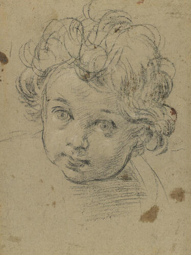 The head of a child The head of a child