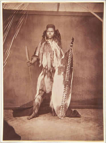 'Zulu Caffir'; Zulu Warrior
