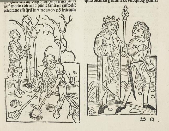 Ruralia commoda / Petrus de Crescentiis Ruralia commoda / Petrus de Crescentiis