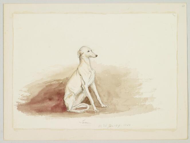 Master: SKETCHES FROM NATURE V. R. 1847 TO 1852
Item: Swan Master: SKETCHES FROM NATURE V. R. 1847 TO 1852
Item: Swan