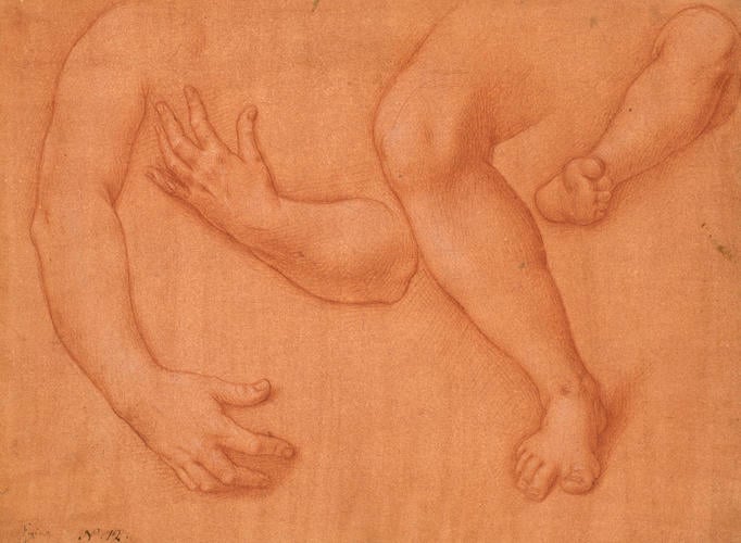 Studies of a pair of arms and a right and left leg