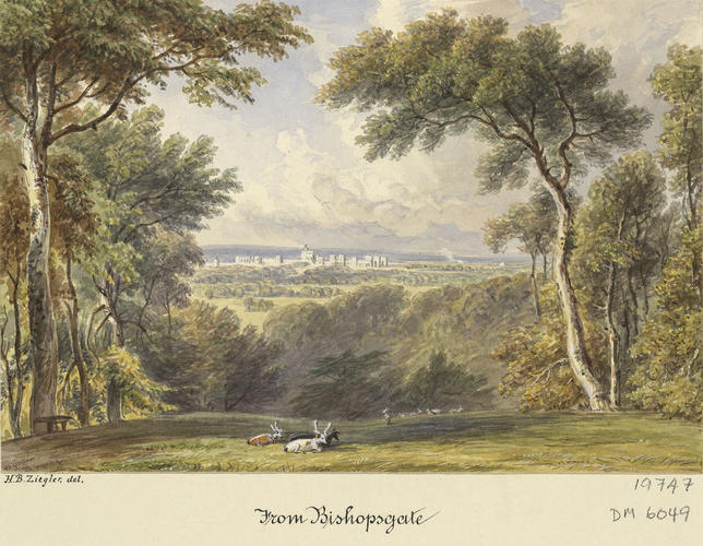 Windsor Castle from Bishopsgate