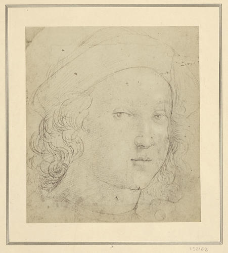 Study of the Head of a Youth Study of the Head of a Youth