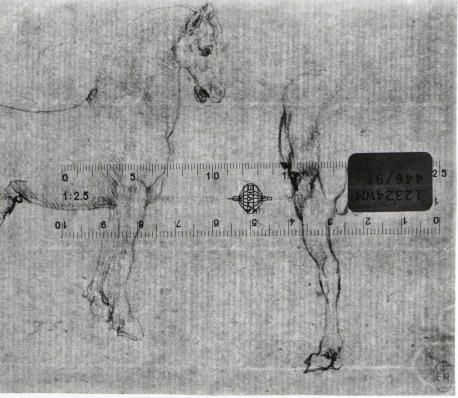 Studies of horses Studies of horses