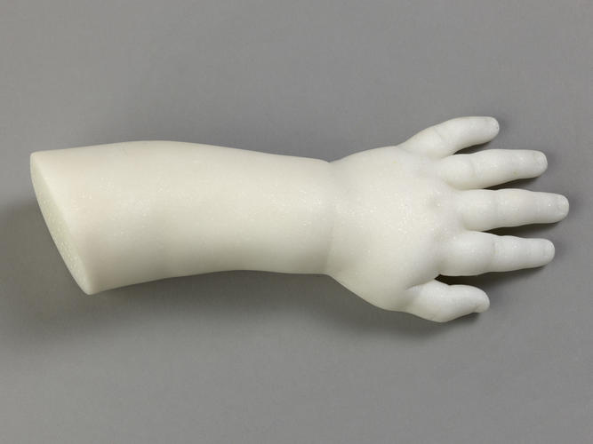 Master: Albert, Prince of Wales's left hand (1841-1910)
Item: Albert Edward (1841-1910), Prince of Wales