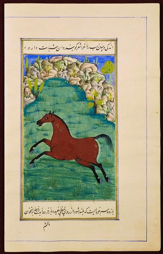 Farasnamah فرسنامه (A Treatise on Horses) and Dawlatnamah دولتنامه (A Treatise on Falcons)