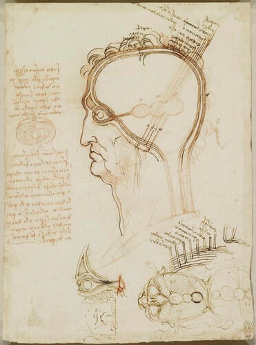 Recto: The layers of the scalp, and the cerebral ventricles. Verso: Studies of the head Recto: The layers of the scalp, and the cerebral ventricles. Verso: Studies of the head