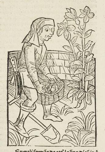 Ruralia commoda / Petrus de Crescentiis Ruralia commoda / Petrus de Crescentiis