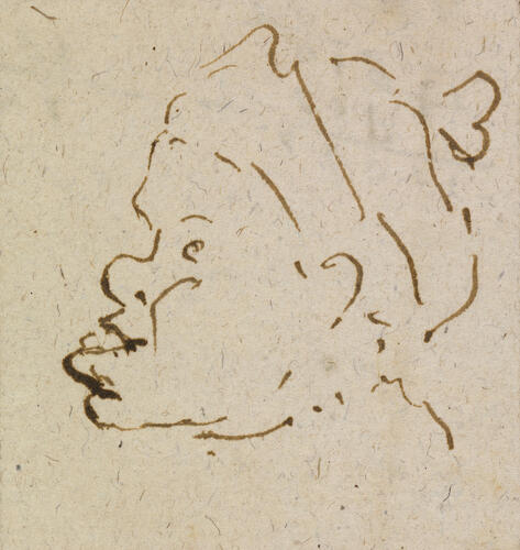 The head of a snub-nosed young man