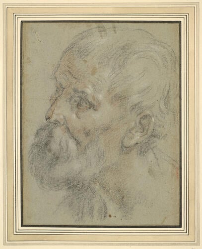 The head of a bearded man