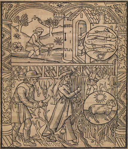 Master: Twelve woodcuts of the labours of the months from 'The kalender of shepherdes'
Item: March